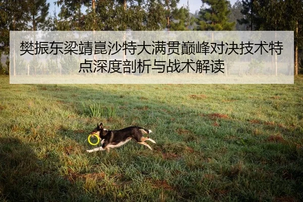 fan-zhen-dong-liang-jing-kun-sha-te-da-man-guan-dian-feng-dui-jue-ji-shu-te-dian-shen-du-pou-xi-yu-zhan-shu-jie-du-2-163.jpg